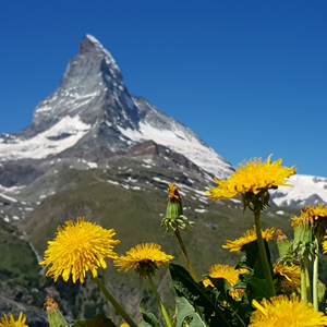 Matterhorn